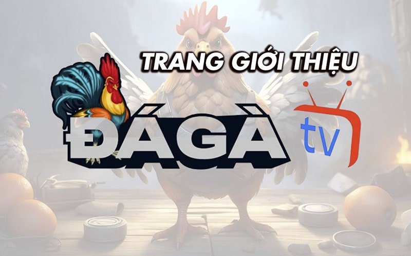 Giới thiệu trang đá gà trực tiếp Daga2.tv