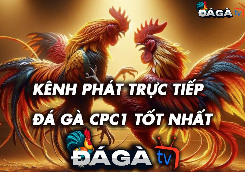 Daga2.tv - kênh phát trực tiếp đá gà CPC1 hàng đầu